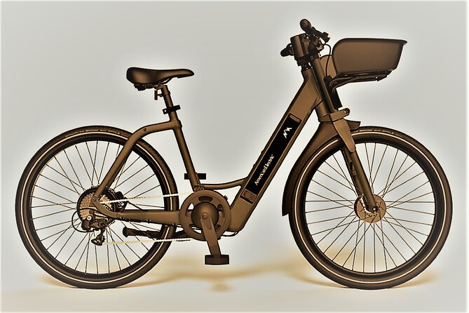 Electric Bike Rentals in the Villages Florida With Delivery - Meeting Point Options
