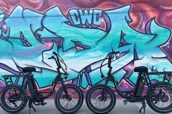 Electric Bike Rentals with Free E-Bike Delivery - The Overview of the Electric Bike Rental Experience