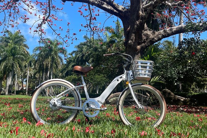 Electric Bike Tour in South Beach - Feedback From Travelers