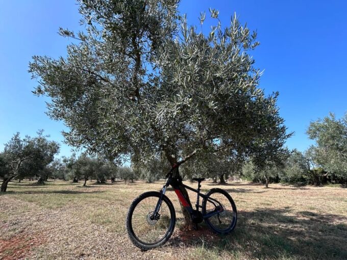 Electric Bike Tour Olive Odyssey From Pula to Vodnjan! - Recommendations and Limitations