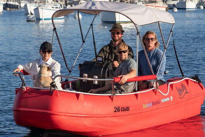 Electric boat Rentals in San Diego Bay. Family friendly boating - Value and cost analysis