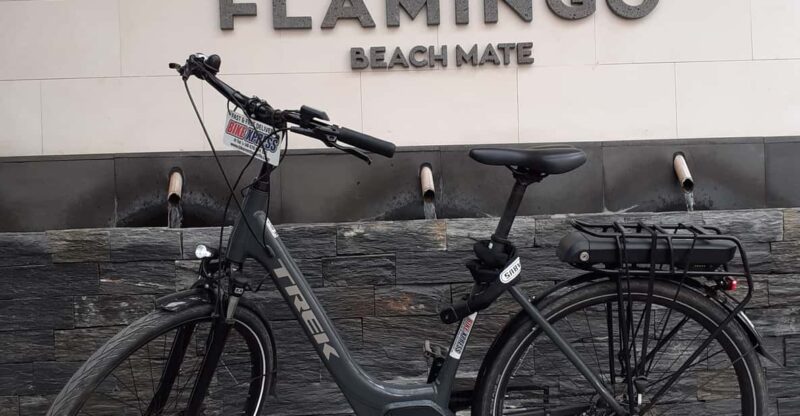 Electric City Bike Rental With Hotel Delivery - Pricing and Booking Details