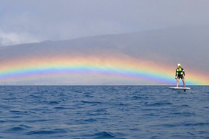 Electric Foilboard Rides/Lessons/Sessions at Sugar Beach, Maui - Accessibility Considerations