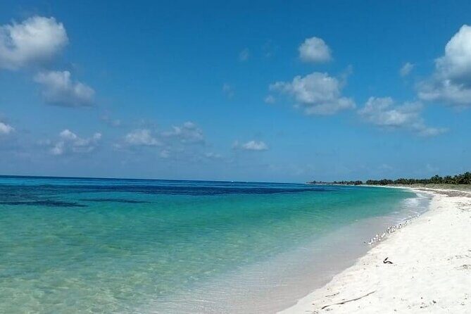 Electric Island Tour with Snorkel, Picnic and Otoch Mayan Experience - The Sum Up