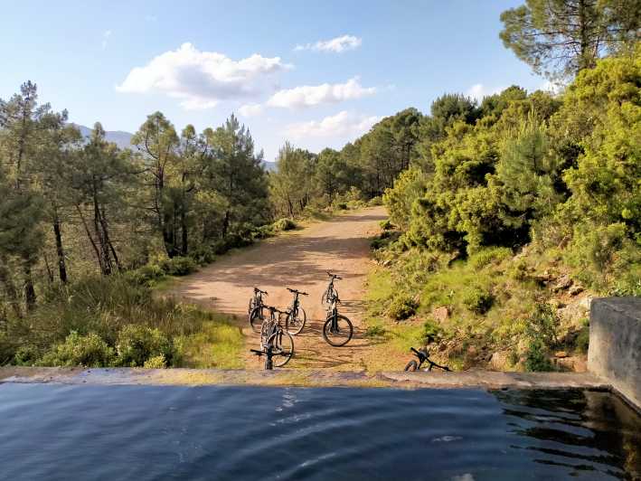 Electric Mountain Bike in Sierra De Las Nieves National Park - Activity Details