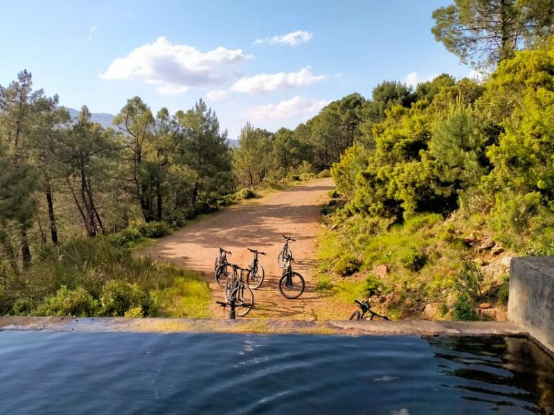Electric Mountain Bike in Sierra De Las Nieves National Park - Highlights of the Tour