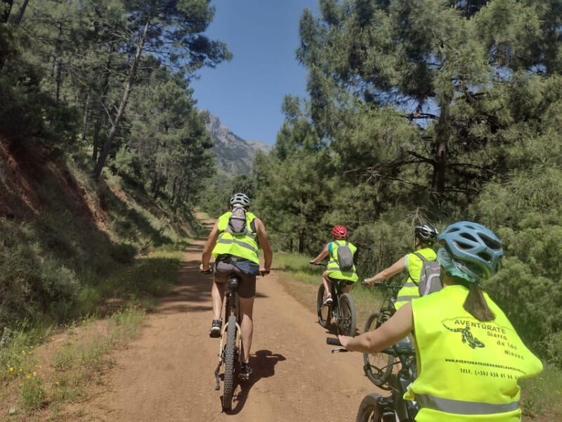 Electric Mountain Bike in Sierra De Las Nieves National Park - Exploring Tolox