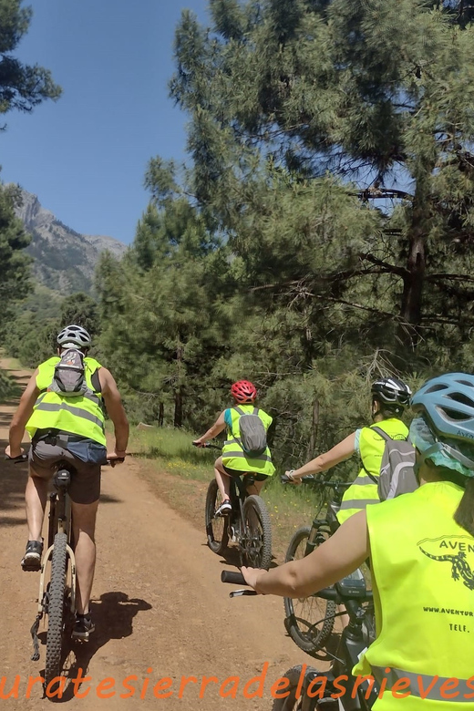 Electric Mountain Bike in Sierra De Las Nieves National Park - Good To Know