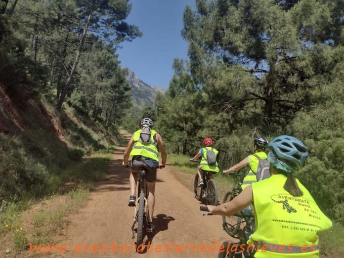 Electric Mountain Bike in Sierra De Las Nieves National Park - Explore the Park