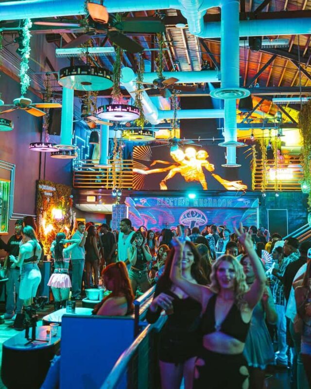 Electric Mushroom: Nightclub VIP Entry & Free Cocktail - An In-Depth Look at the Electric Mushroom Experience