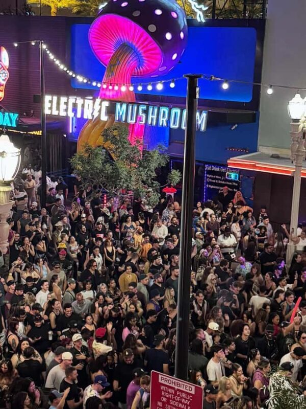 Electric Mushroom: Nightclub VIP Entry & Free Cocktail - FAQ