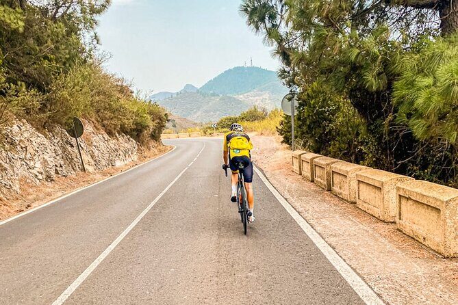 Electric Olmo E-bro 2.0 E-race Bike 500W Rental in Tenerife - Who Will Love This Experience?