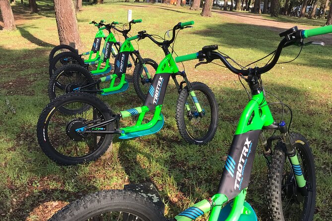 Electric Scooter Excursion With Tapas Aperitif - Customer Feedback