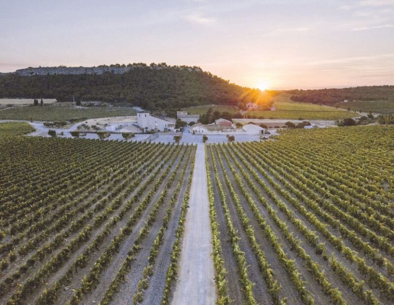 Electric Scooter Tour of Our Vineyard and Wine Tasting - Key Points