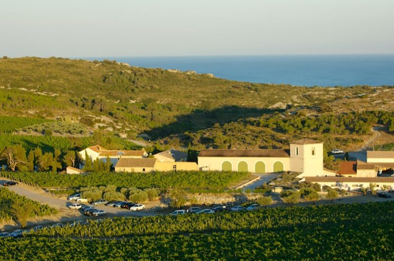 Electric Scooter Tour of Our Vineyard and Wine Tasting - Electric Scooters