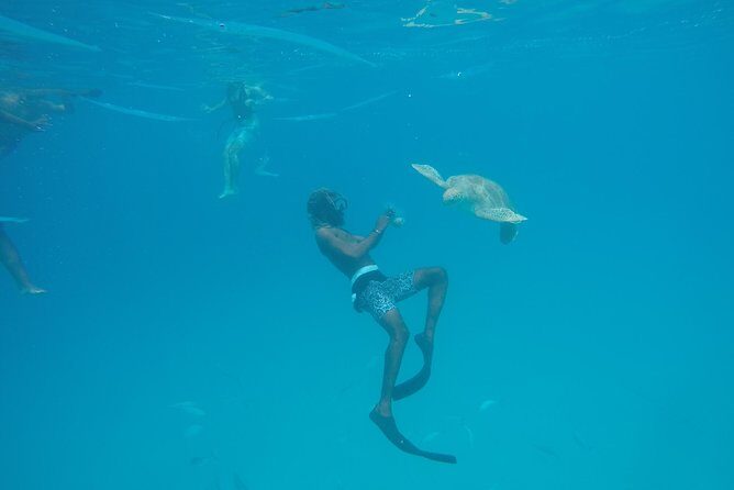 Elegance Catamaran turtles swim and lunch cruise - FAQ