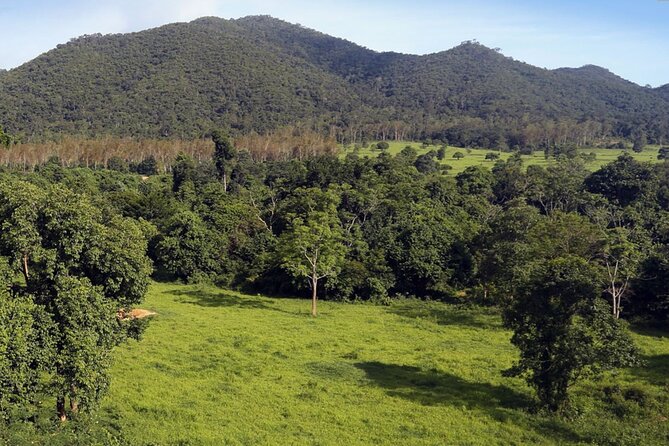 Elephant and Animal Watching in Kuiburi National Park - Join Afternoon Tour - What to Expect on the Tour