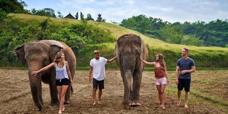 Elephant Care Experience with Mud Bath at Bali Zoo - Elephant Care Experience with Mud Bath at Bali Zoo
