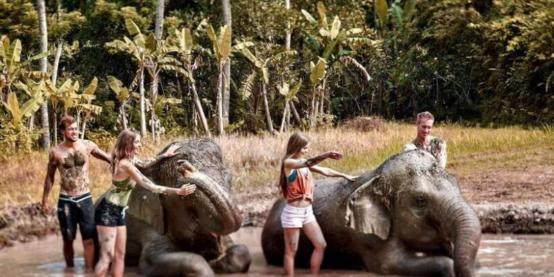 Elephant Care Experience with Mud Bath at Bali Zoo - What Is the Elephant Care Experience?