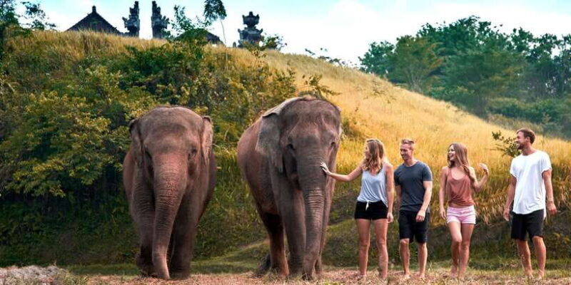 Elephant Care Experience with Mud Bath at Bali Zoo - The Practical Details