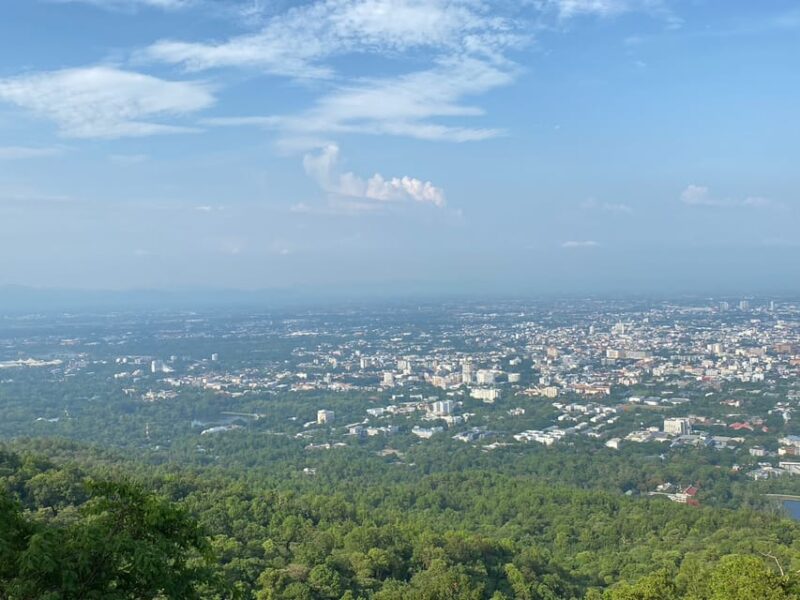 Elephant Care With Wat Umong, Doi Suthep and Night City View - Elephant Care Experience