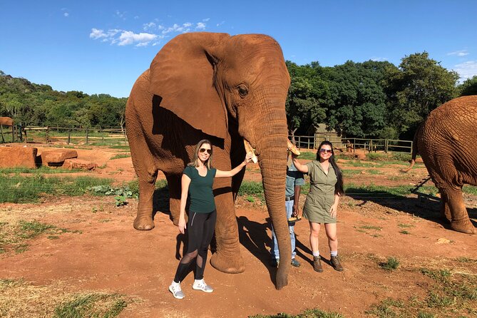 Elephant & Monkey Sanctuary Tour From Johannesburg - Good To Know