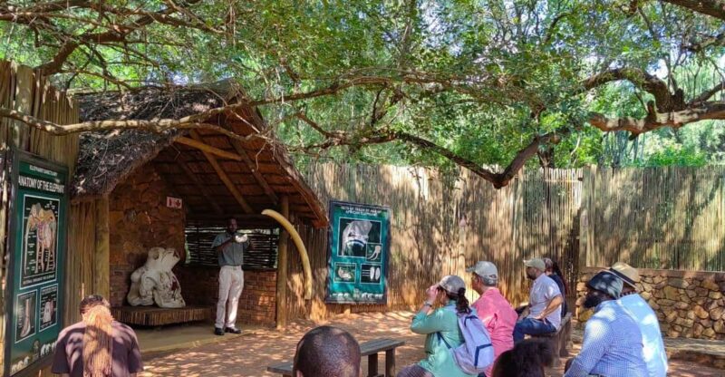 Elephant & Monkey Santuary With Lion Park Tour - Lion Park Safari Experience