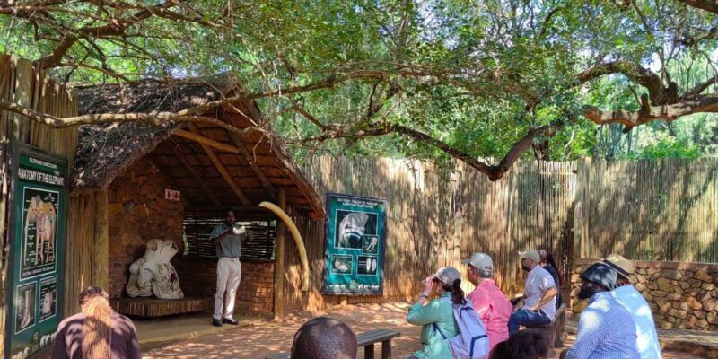 Elephant & Monkey Santuary With Lion Park Tour - Elephant Sanctuary Visit