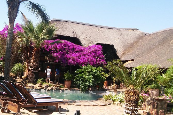 Elephant Walk Guided Half Day Tour From Johannesburg - Traveler Reviews and Experiences