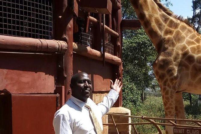Elephants,Giraffe Center, Blixen Museum $ Bomas of Kenya - Pickup and Accessibility
