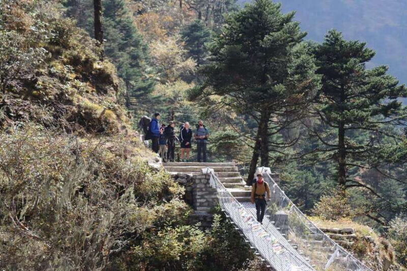 Elevate Your Spirit: A Day Hike through Shivapuri's Splendor - The Sum Up