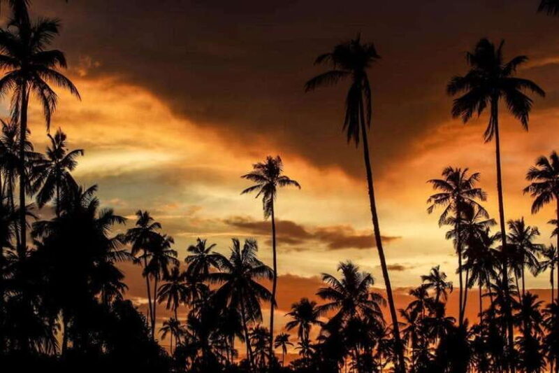 Ella: Adventure day trip to explore Ella by tuk tuk - Key Points