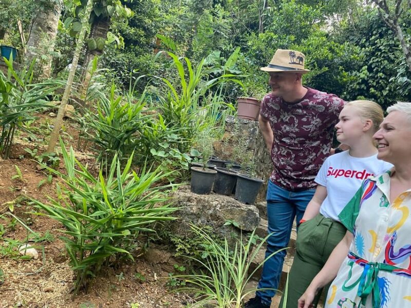 Ella : Cooking Class With Amazing Spice Garden Tour - Experience Highlights