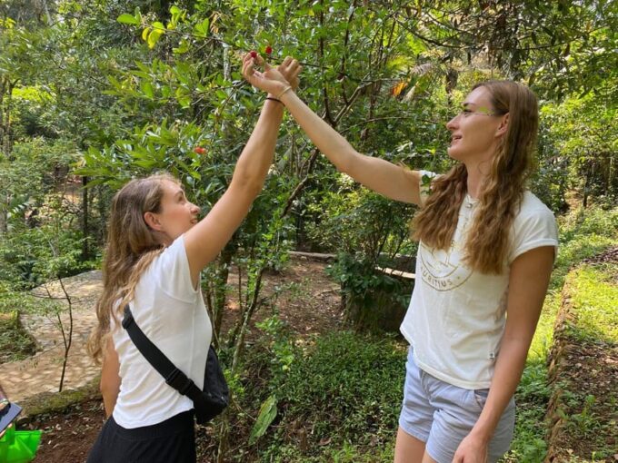 Ella : Cooking Class With Amazing Spice Garden Tour - Good To Know