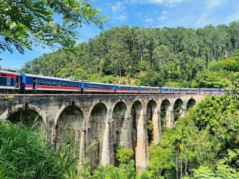 Ella Day Tour from Kandy with tea factory - Who Should Consider This Tour?