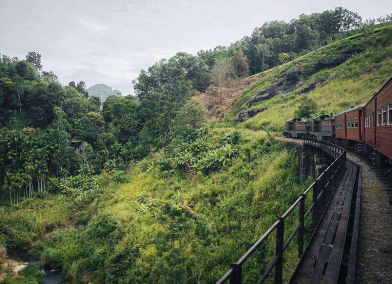 Ella Day Tour: with Tea Factory Visit from Colombo - Introduction: A Day Trip that Packs a Punch