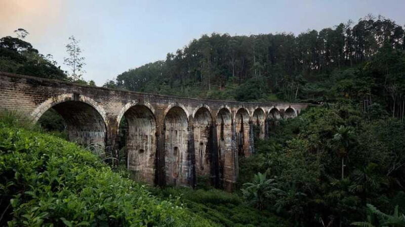 Ella Day Tour: with Tea Factory Visit from Colombo - The Experience for Different Travelers