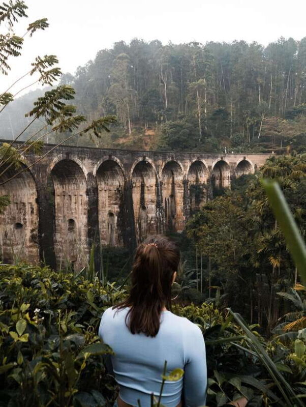 Ella Day Trip: with Little Adam's Peak Hike From Colombo - A Detailed Look at the Experience