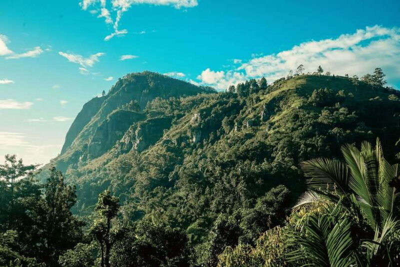 Ella: Guided Day Tour with Tea Estate Visit - Hiking to Little Adams Peak: Panoramic Views and Easy Trails