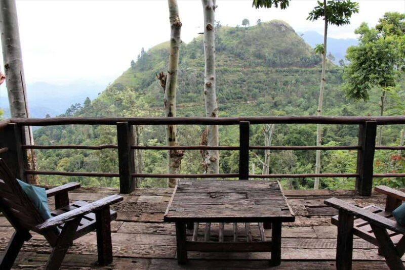 Ella: Guided Day Tour with Tea Estate Visit - Practical Details and Logistics