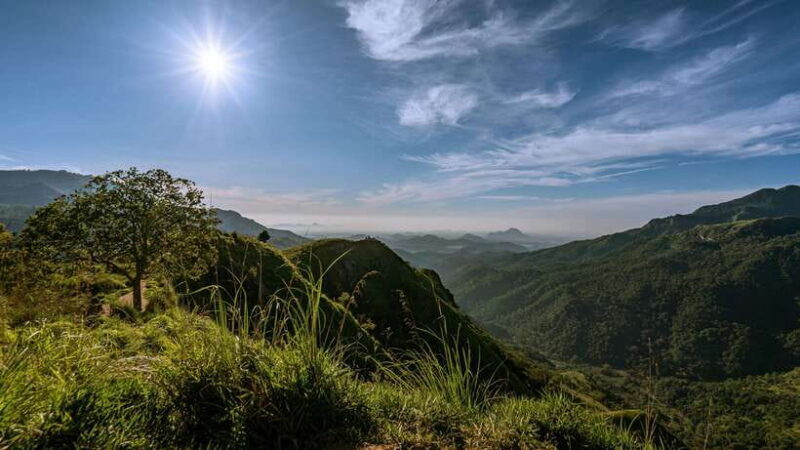 Ella: Guided Day Tour with Tea Estate Visit - Who Should Consider This Tour?