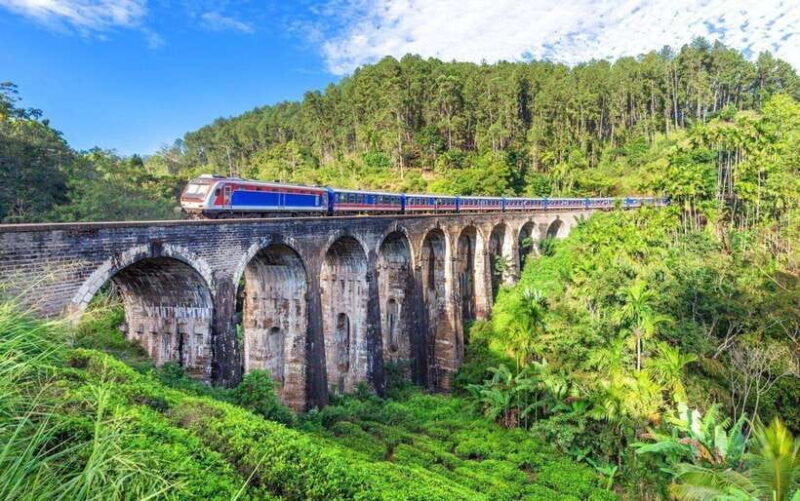 Ella Hill Country Tour : A Perfect Day Tour in Sri Lanka - Key Points