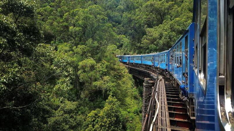 Ella Hill Country Tour : A Perfect Day Tour in Sri Lanka - An In-Depth Look at the Ella Hill Country Tour