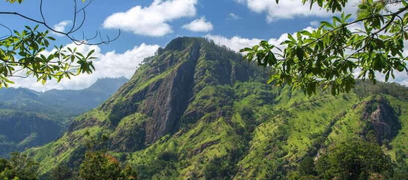 Ella Hill Country Tour : A Perfect Day Tour in Sri Lanka - Final Thoughts: Is It Right for You?