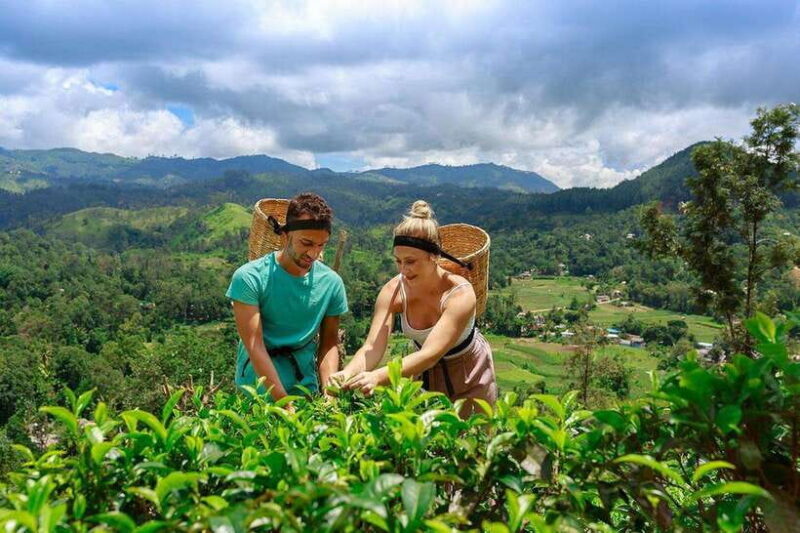 Ella: Little Adam's Peak, 9 Arch Bridge, Ravana Falls Tour - Who Will Love This Tour?