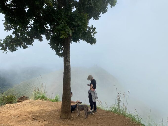 Ella: Little Adams Peak, Nine Arches Bridge & Waterfalls - Participant Guidelines and Recommendations
