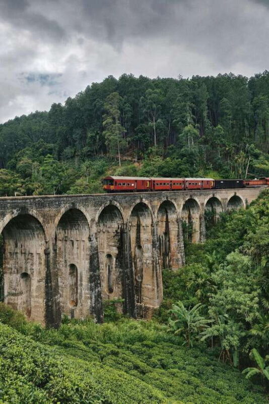 Ella: Private Tour with Ella Rock, Nine Arches Bridge & More - Authentic Experiences and Traveler Feedback
