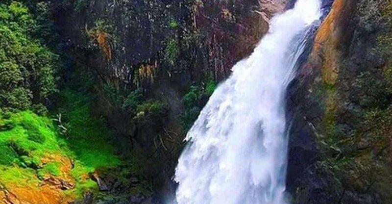 Ella :- Private TukTuk Transfer to Dunhinda Waterfalls - Experience Highlights
