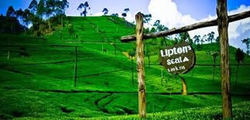 Ella :- Private TukTuk Transfer to Liptonseat & Tea Factory - Itinerary and Experience