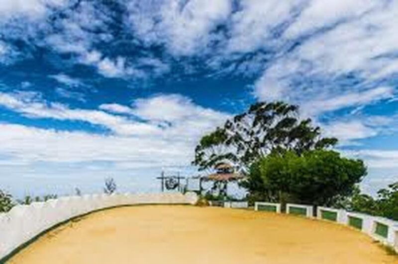 Ella :- Private TukTuk Transfer to Liptonseat & Tea Factory - Inclusions and Exclusions